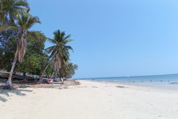 IMG_20250910_114217626