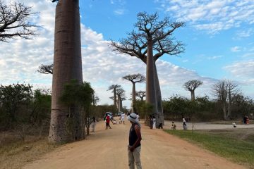 Fanasina at the Baobab alley